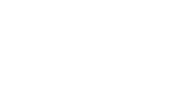 Ardor Oro | Premium Polyphenol-Rich Extra Virgin Olive Oil