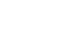Ardor Oro | Premium Polyphenol-Rich Extra Virgin Olive Oil